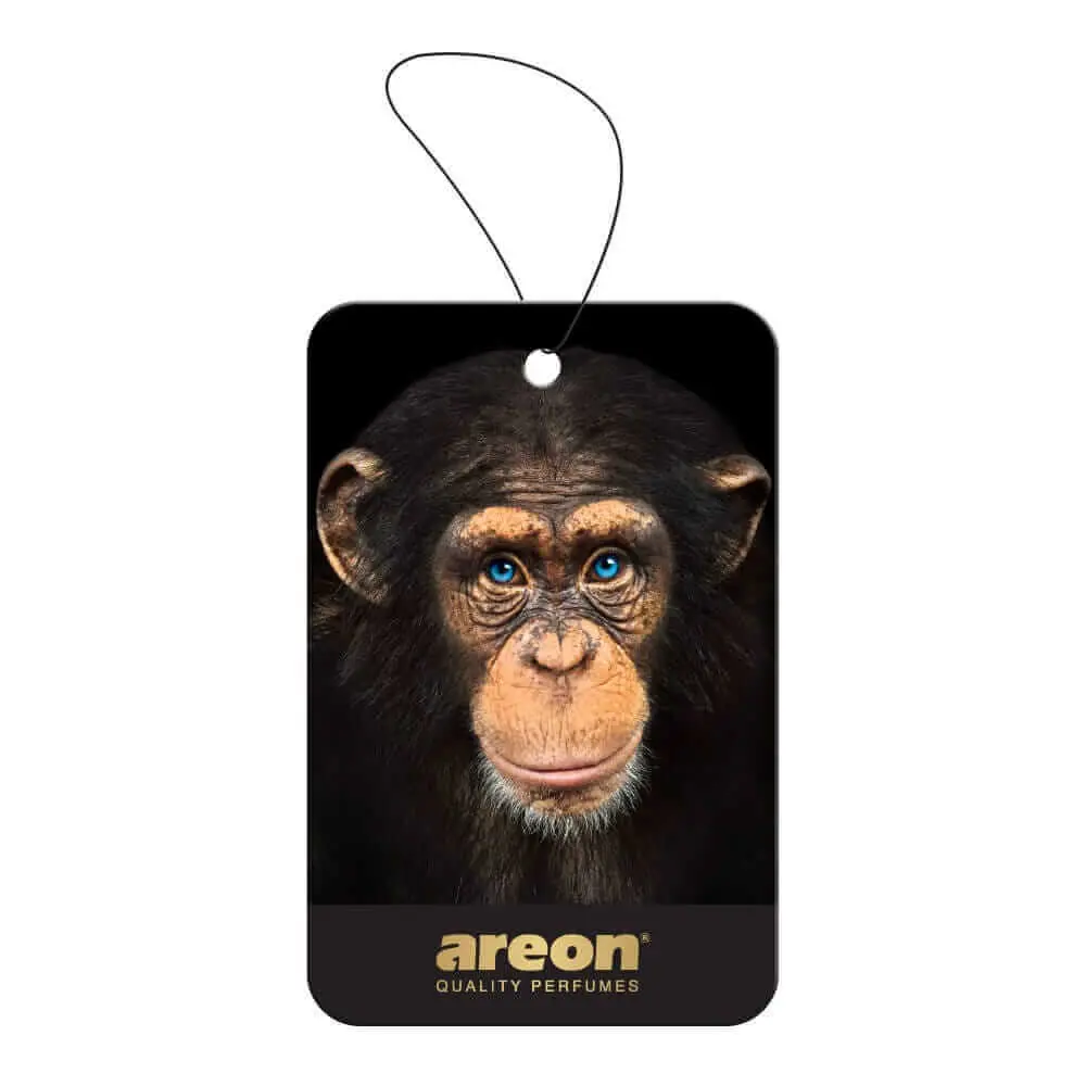 Welcome to Aroma66, where fragrance meets passion. We specialize in creating high quality air fresheners and fragrance solutions designed to enhance your environment and awaken your senses.  Καλώς ήρθατε στο Aroma66, όπου το άρωμα συναντά το πάθος. Ειδικευόμαστε στη δημιουργία υψηλής ποιότητας αποσμητικών χώρου και αρωματικών λύσεων, σχεδιασμένων για να αναβαθμίζουν το περιβάλλον σας και να αφυπνίζουν τις αισθήσεις σας.  #aroma66, #aroma66com, #aroma66gr, #aroma, #66, #aromatik66, #aromatizatori, #aroma66.com, #aromaparfume66, #carfreshener, #airfreshener, #carairfreshener, #carperfume, #caraccessories, #smellgood, #freshcar, #carcare, #cardetailing, #customairfreshener, #fragrance, #carscent, #stayfresh, #carinterior, #aromatherapy, #greece, #greek